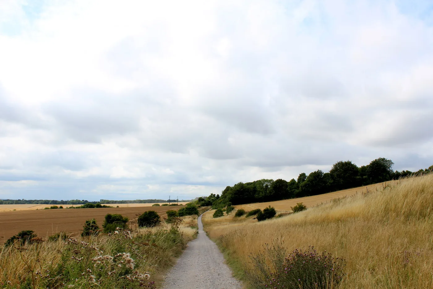 The North Downs Way above Lenham. The Kent Downs National Landscape objection turns on views down towards the Marley Works site from footpaths on this escarpment